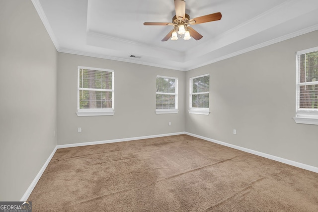 spare room with carpet flooring, a healthy amount of sunlight, a raised ceiling, and crown molding