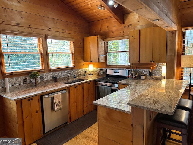 kitchen featuring light hardwood / wood-style floors, sink, a healthy amount of sunlight, and appliances with stainless steel finishes