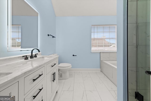 bathroom featuring a bathtub, vanity, and toilet