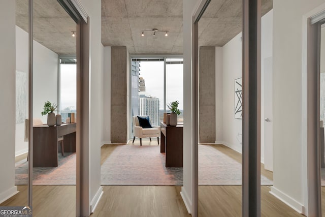 hallway featuring hardwood / wood-style floors, a wall of windows, and plenty of natural light