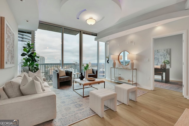 living room featuring expansive windows and light hardwood / wood-style flooring