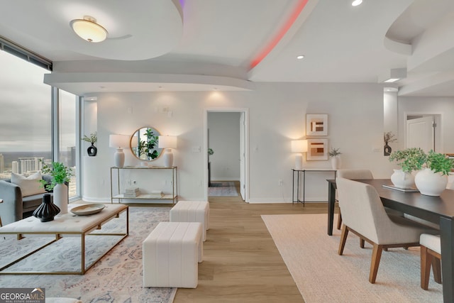 living room featuring light hardwood / wood-style flooring