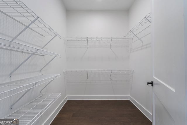 spacious closet featuring dark hardwood / wood-style flooring