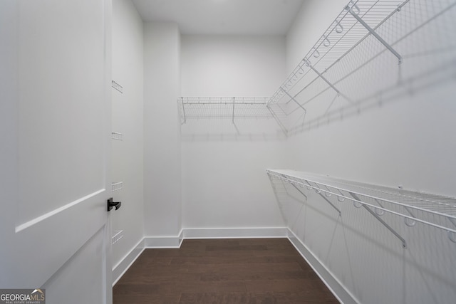 spacious closet featuring dark hardwood / wood-style floors