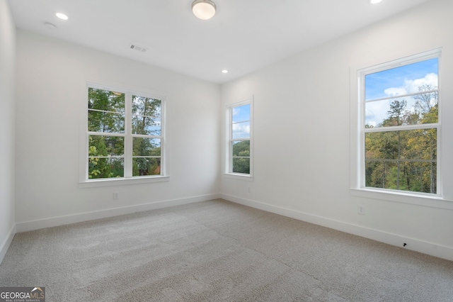 carpeted spare room with plenty of natural light