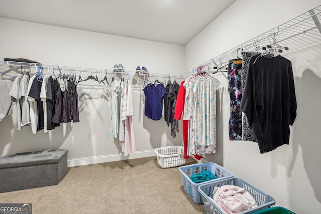 walk in closet featuring carpet