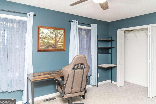 bathroom featuring hardwood / wood-style flooring, vanity, and a shower with curtain