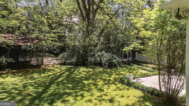 view of yard featuring a patio