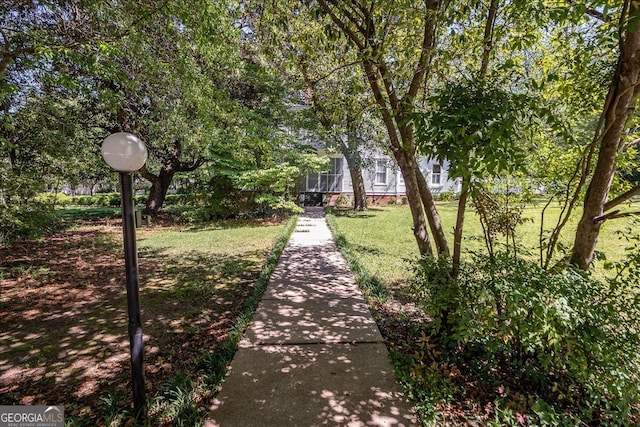 view of community featuring a lawn