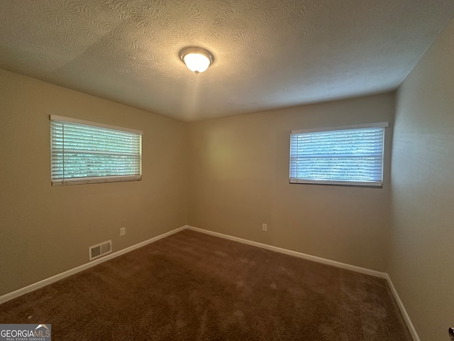 carpeted empty room featuring plenty of natural light and a textured ceiling