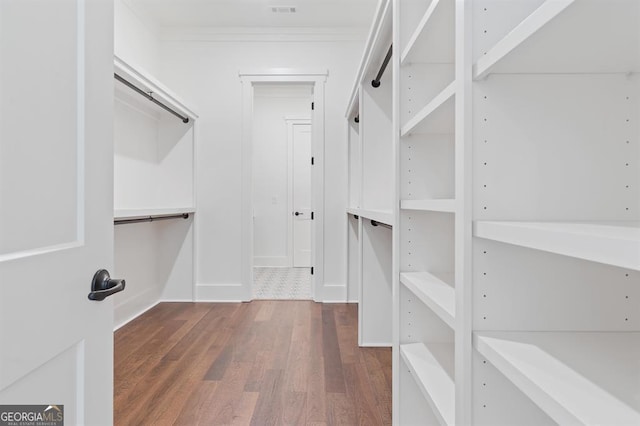 walk in closet featuring dark wood-type flooring