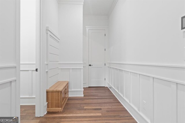 spacious closet featuring dark wood-type flooring