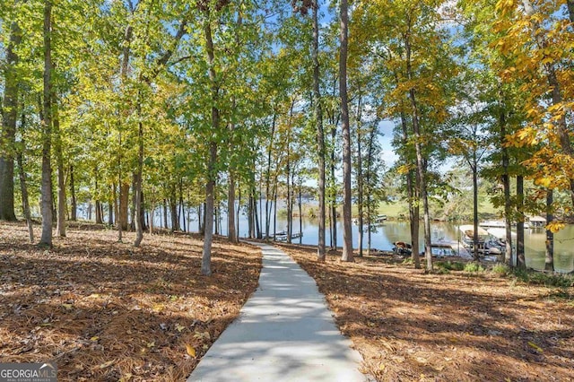 view of community featuring a water view