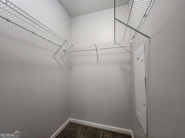 spacious closet featuring carpet floors