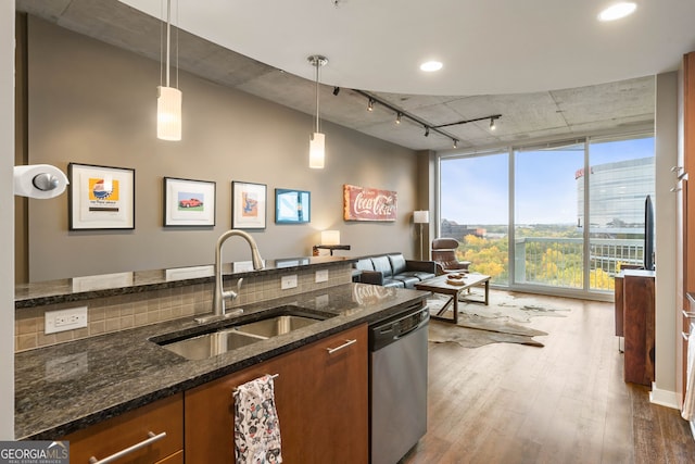 kitchen featuring dark stone counters, sink, stainless steel dishwasher, dark hardwood / wood-style floors, and decorative light fixtures