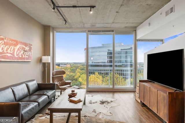 living room with a healthy amount of sunlight and light hardwood / wood-style floors