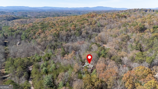 birds eye view of property featuring a mountain view