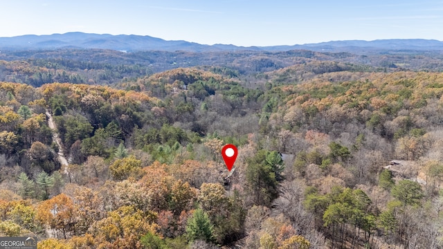 drone / aerial view featuring a mountain view