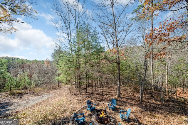 view of yard featuring a fire pit