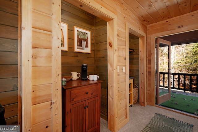 bathroom with wooden walls