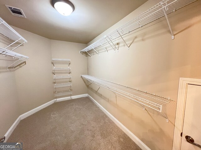 walk in closet with carpet