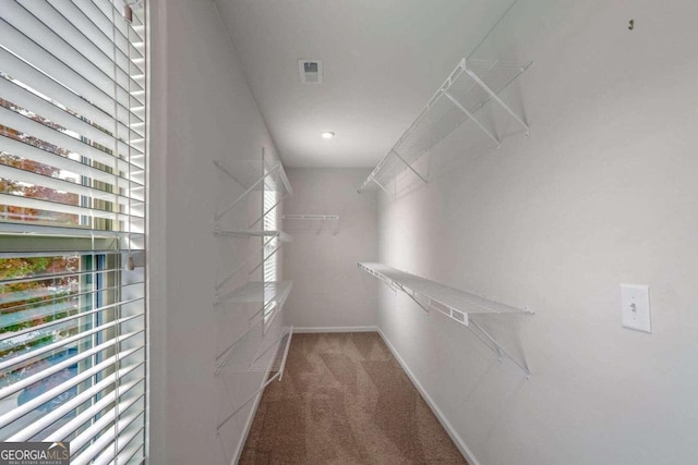 walk in closet with carpet floors