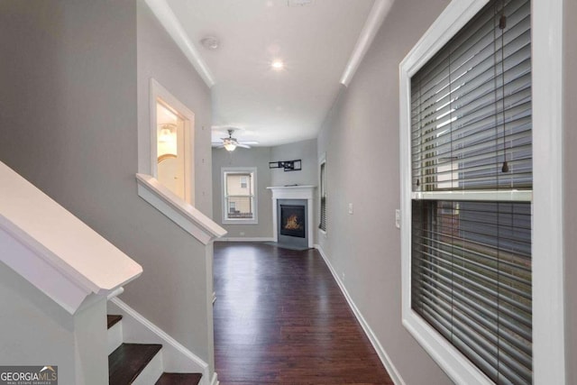 foyer entrance with dark wood-type flooring and ceiling fan