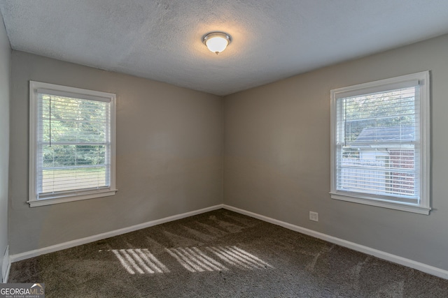 carpeted empty room featuring a textured ceiling and plenty of natural light