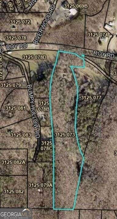 1614 Roy Rd, Ellijay GA, 30536 land for sale