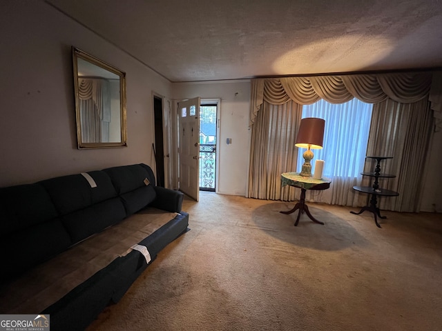 living room with carpet flooring and a textured ceiling