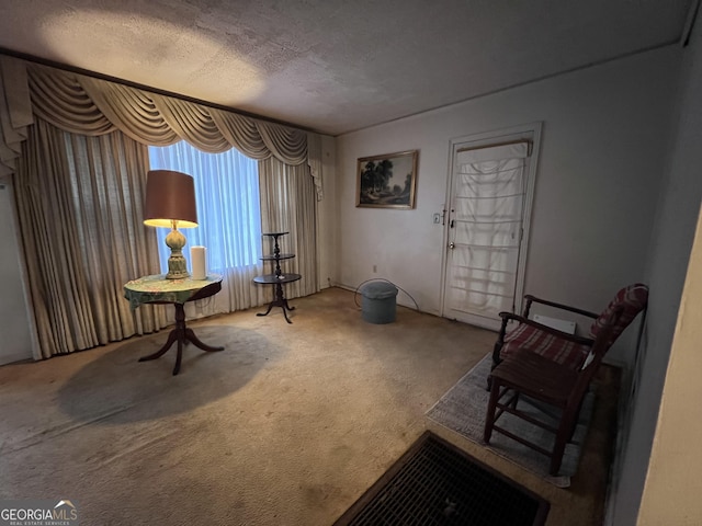 sitting room featuring carpet flooring and a textured ceiling