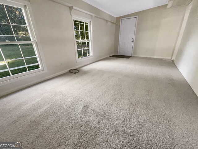 carpeted empty room with a healthy amount of sunlight