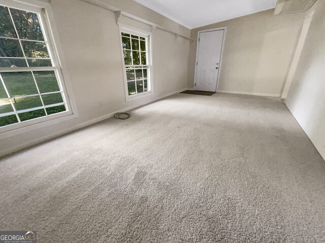 empty room with a wealth of natural light and carpet floors