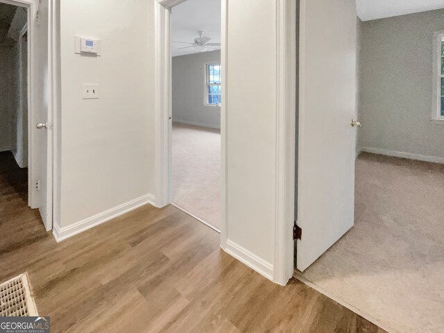 corridor with hardwood / wood-style floors