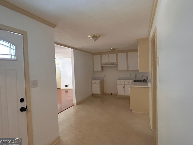 kitchen featuring white cabinets, light colored carpet, sink, and crown molding