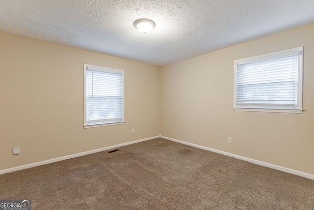 empty room featuring carpet, plenty of natural light, and a textured ceiling