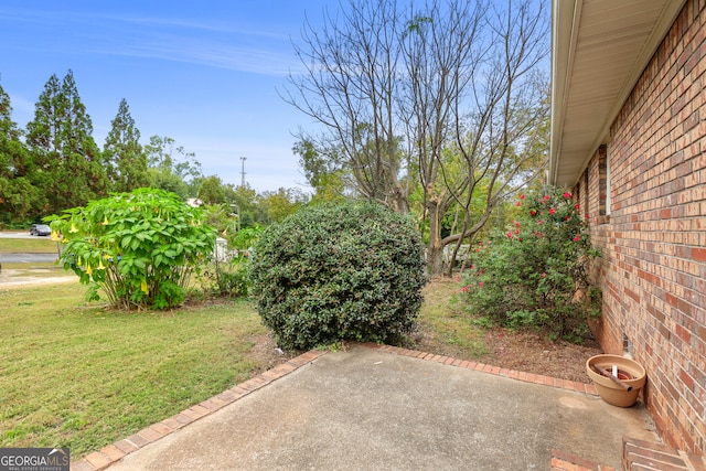 view of yard with a patio