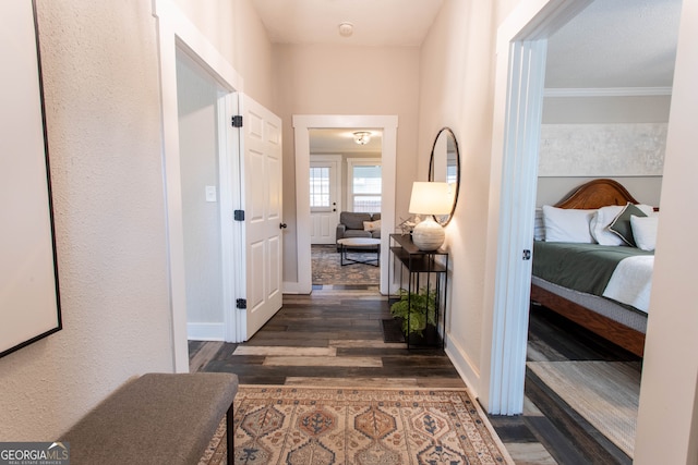 hall featuring dark wood-type flooring and crown molding