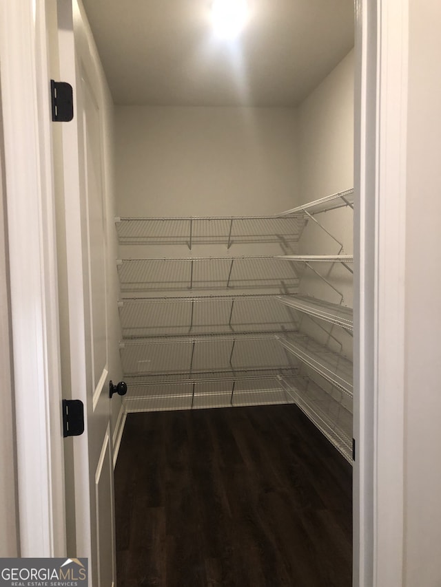 spacious closet with dark hardwood / wood-style floors