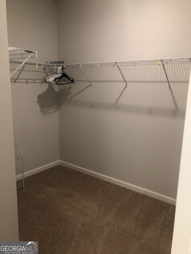 walk in closet with dark carpet