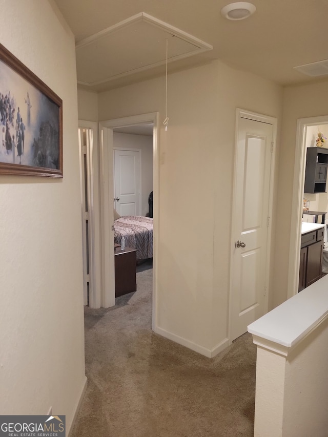 hallway featuring carpet floors