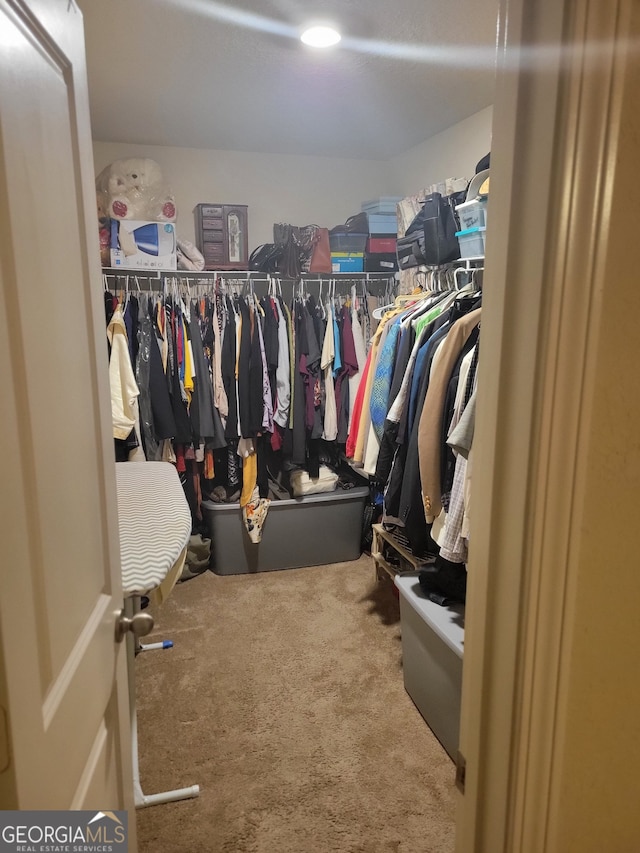 walk in closet featuring carpet floors