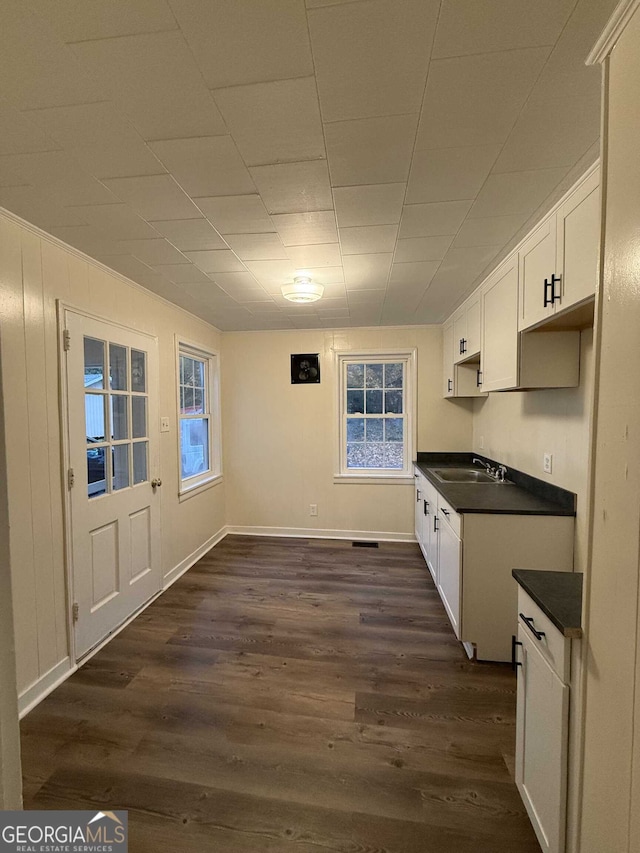 kitchen with white cabinetry, dark wood-type flooring, and sink