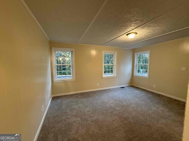 unfurnished room with a textured ceiling and carpet flooring