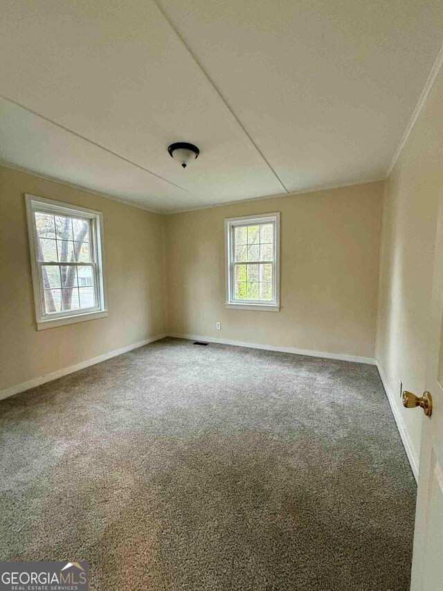 unfurnished room with carpet flooring and a wealth of natural light