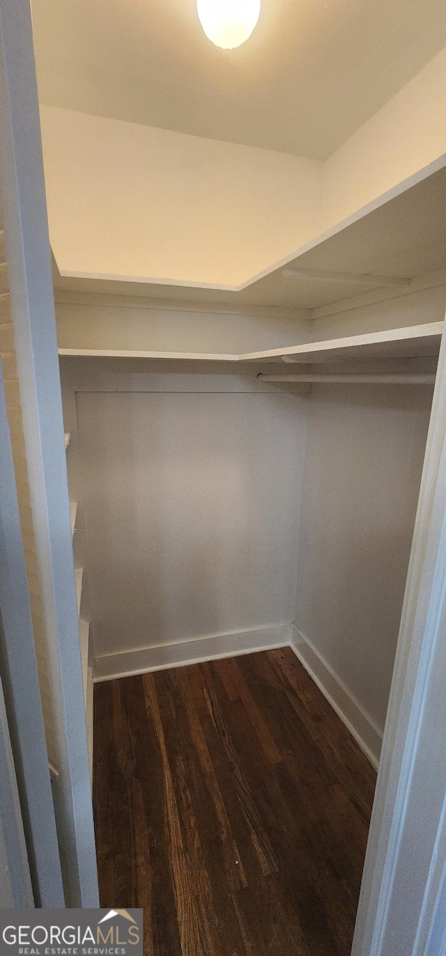 spacious closet featuring dark hardwood / wood-style flooring