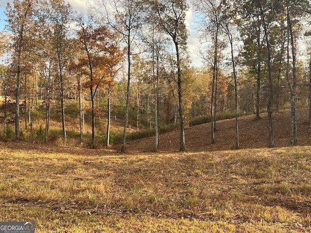 LOT104 High River Rd Unit 104, Ellijay GA, 30540 land for sale