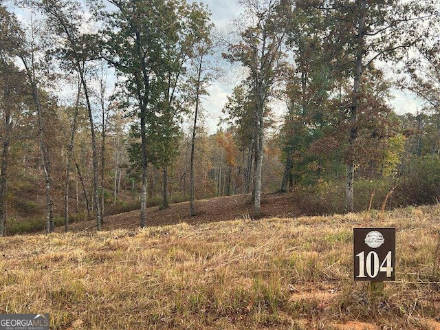 LOT104 High River Rd Unit 104, Ellijay GA, 30540 land for sale