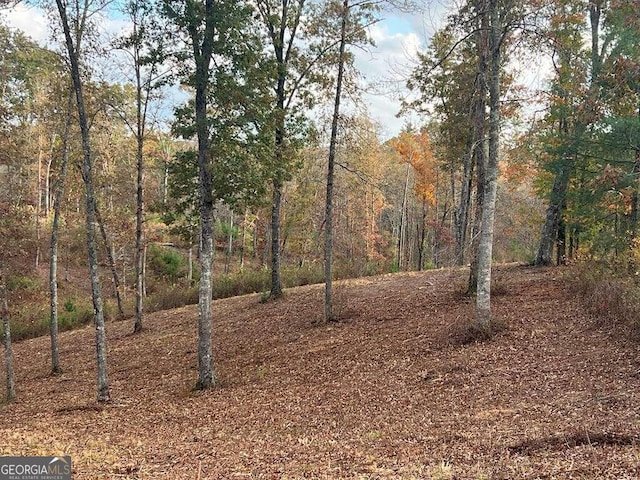 Listing photo 2 for LOT104 High River Rd Unit 104, Ellijay GA 30540