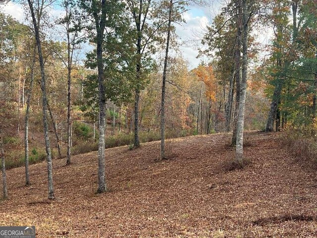 Listing photo 3 for LOT104 High River Rd Unit 104, Ellijay GA 30540